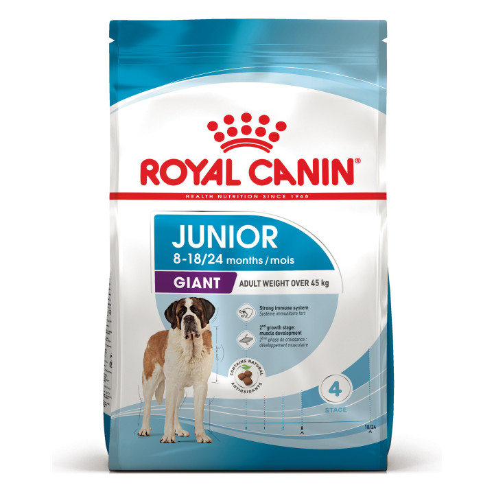 Royal Canin Giant Junior: захист і розвиток для цуценят великих порід