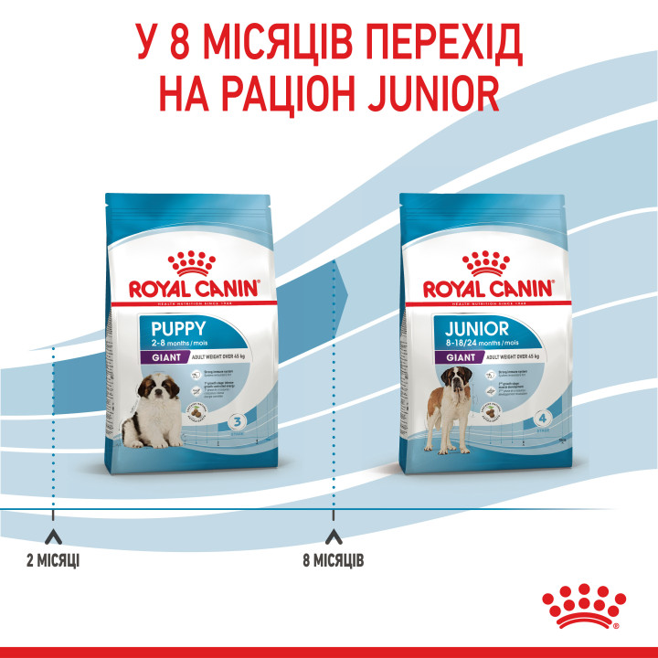 Royal Canin Giant Puppy - Найкращий Корм для Цуценят великих Порід