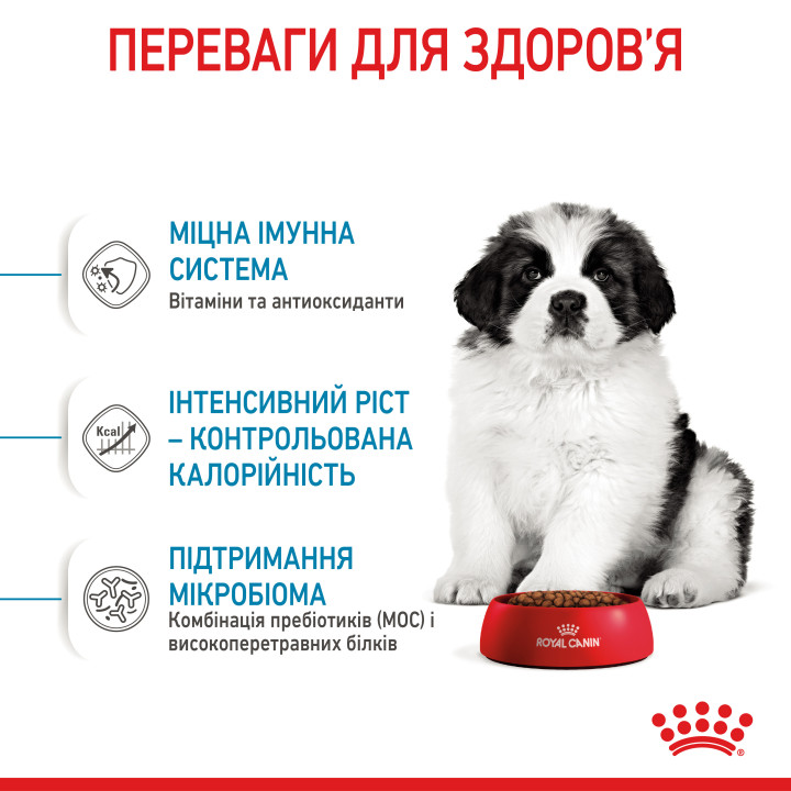 Royal Canin Giant Puppy - Найкращий Корм для Цуценят великих Порід