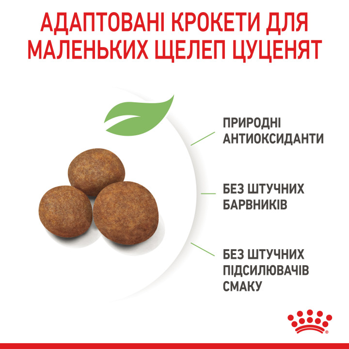 Royal Canin Giant Puppy - Найкращий Корм для Цуценят великих Порід
