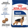Купуйте Сухий Корм Royal Canin Maxi Adult 4 кг для Великих Порід – Оптимальне Харчування