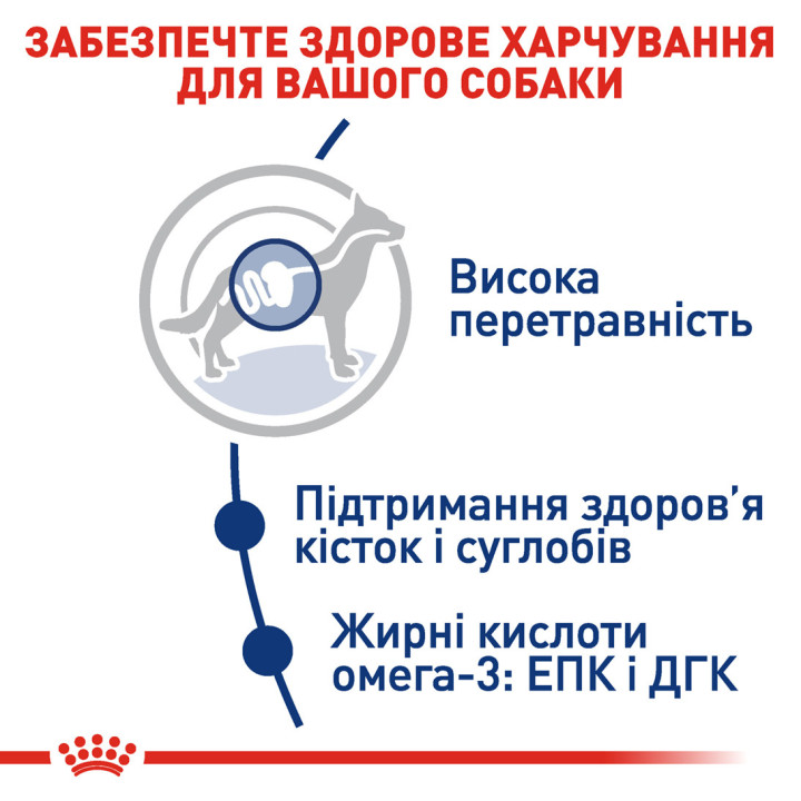 Купуйте Сухий Корм Royal Canin Maxi Adult 15 кг для Великих Порід – Оптимальне Харчування