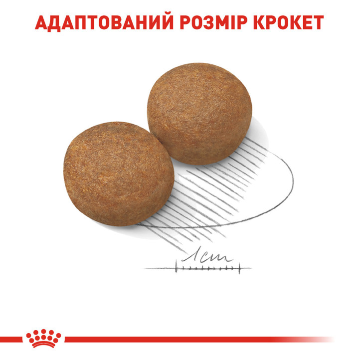 Купуйте Сухий Корм Royal Canin Maxi Adult 15 кг для Великих Порід – Оптимальне Харчування