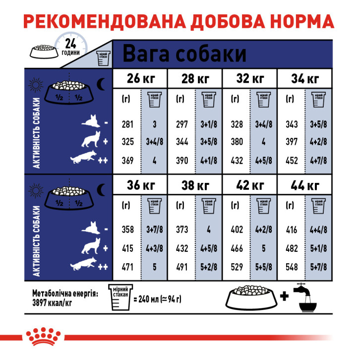 Maxi Adult 5+ 15 кг