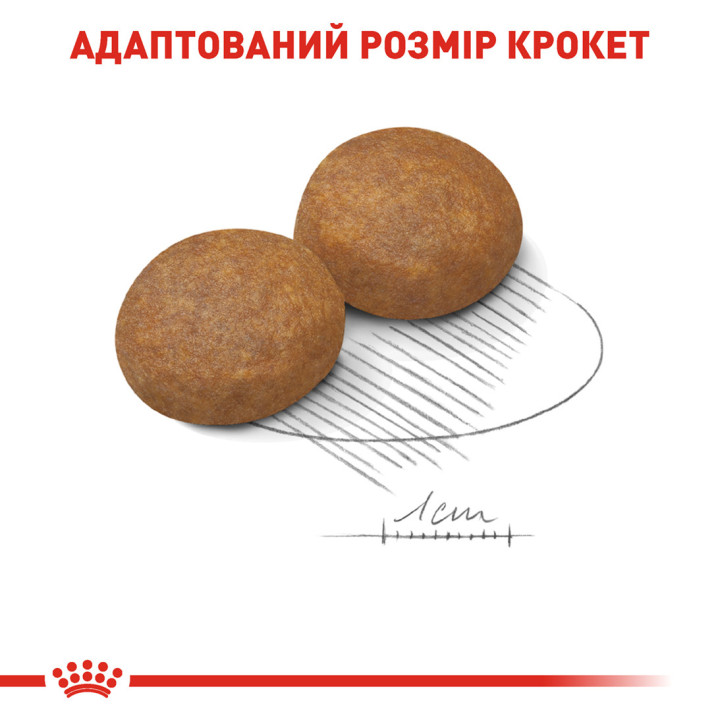 Maxi Adult 5+ 15 кг