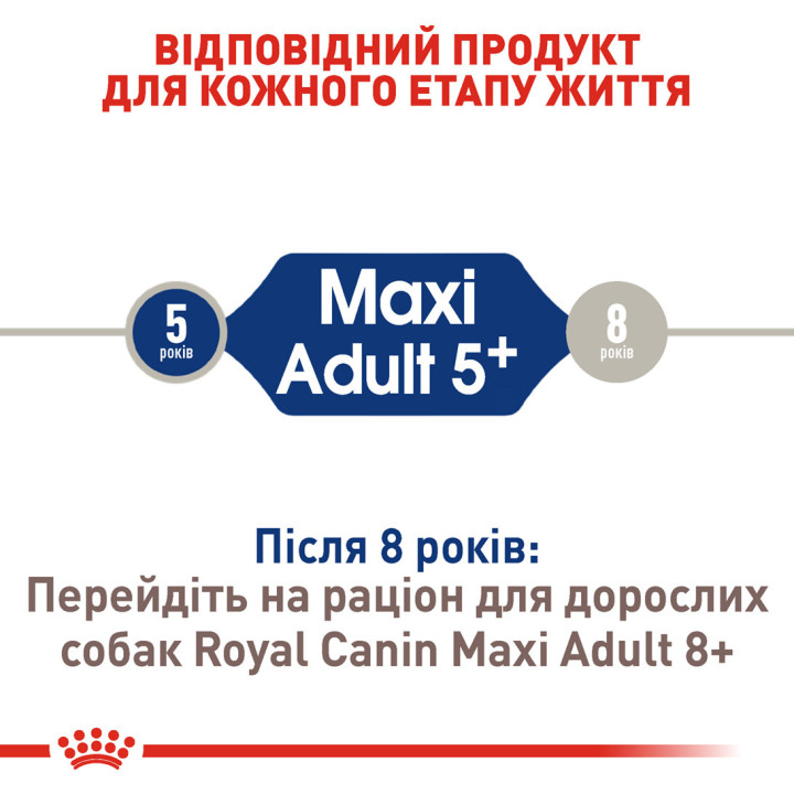Maxi Adult 5+ 15 кг