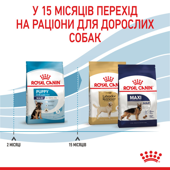 Royal Canin Maxi Puppy  4 кг - Сухий Корм Для Цуценят Собак Великих Порід