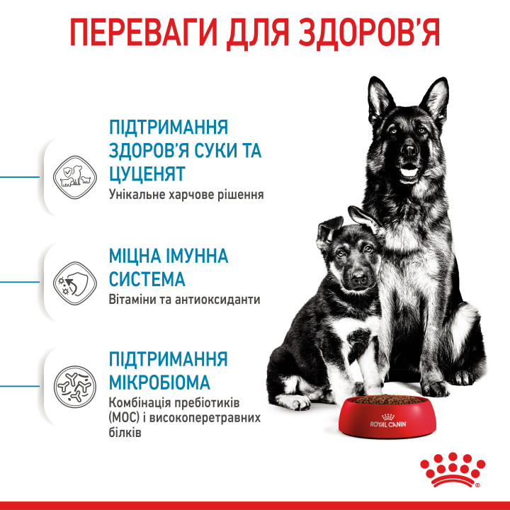Maxi Starter 4 кг