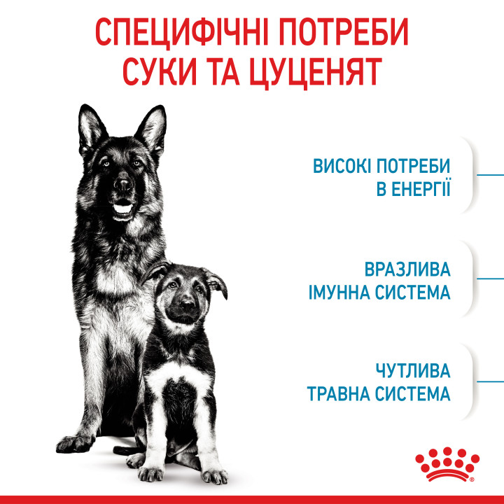 Maxi Starter 4 кг