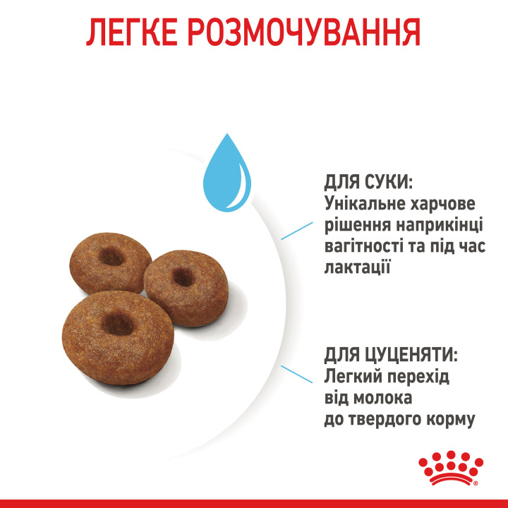 Maxi Starter 4 кг