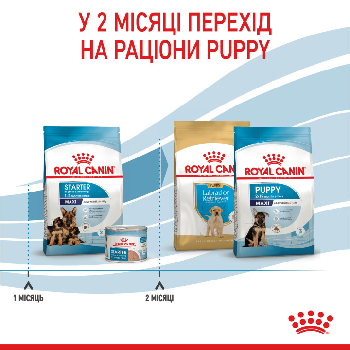 Maxi Starter 4 кг