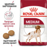 Купуйте Royal Canin Medium Adult для собак середніх порід в інтернет-магазині