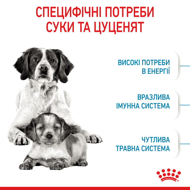 Medium Starter 1 кг