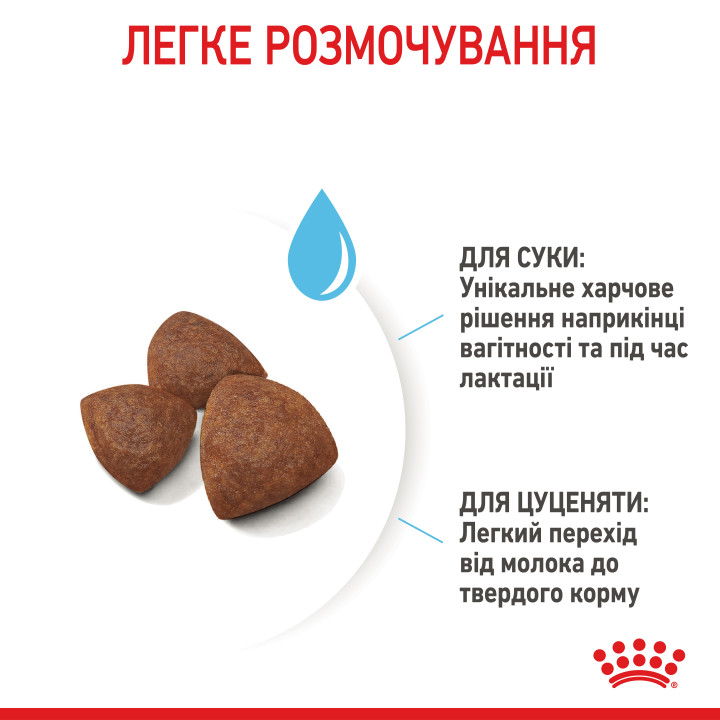 Medium Starter 1 кг
