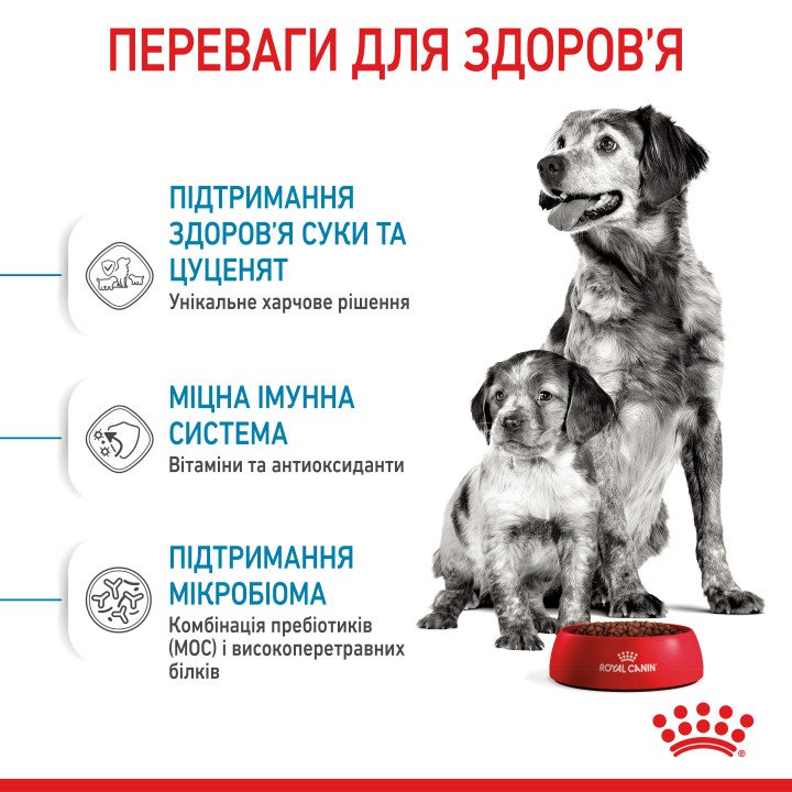 Medium Starter 1 кг