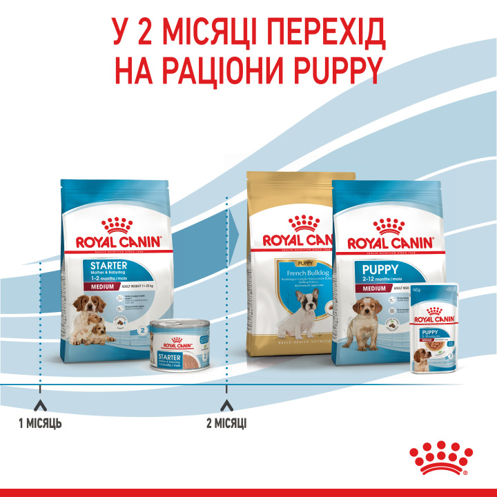 Medium Starter 1 кг
