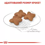 Купити Royal Canin Mini Adult для собак малих порід - збережіть ідеальну вагу вашого вихованця