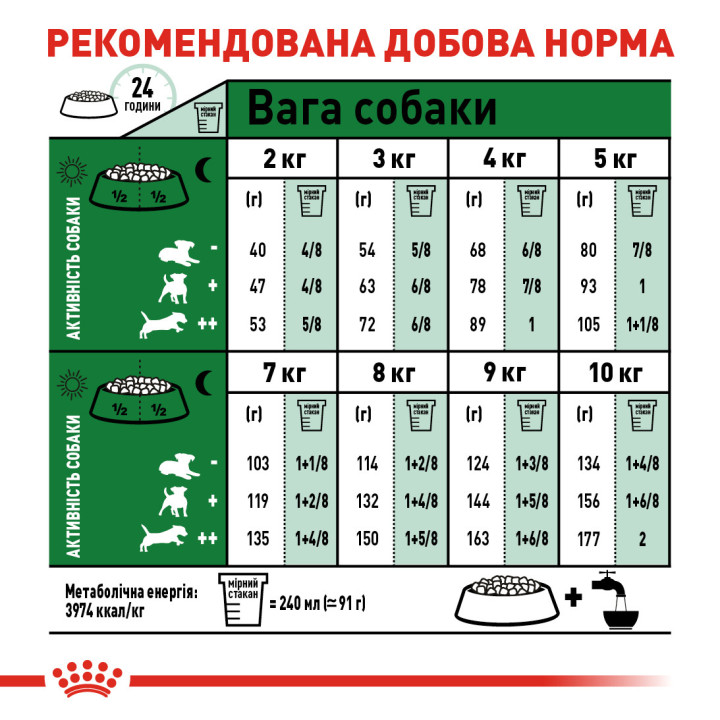 Royal Canin Mini Adult 8+ | Сухий корм для літніх собак 0,8 кг