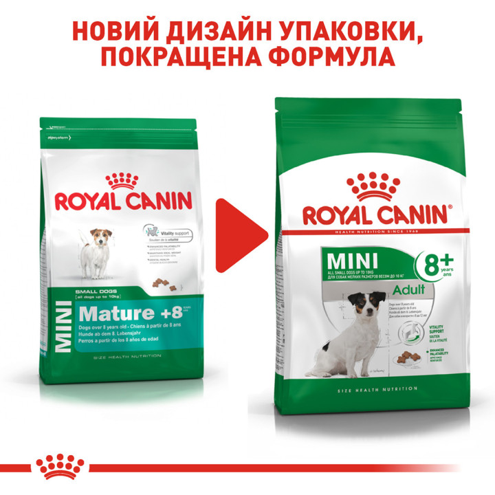 Royal Canin Mini Adult 8+ | Сухий корм для літніх собак 0,8 кг