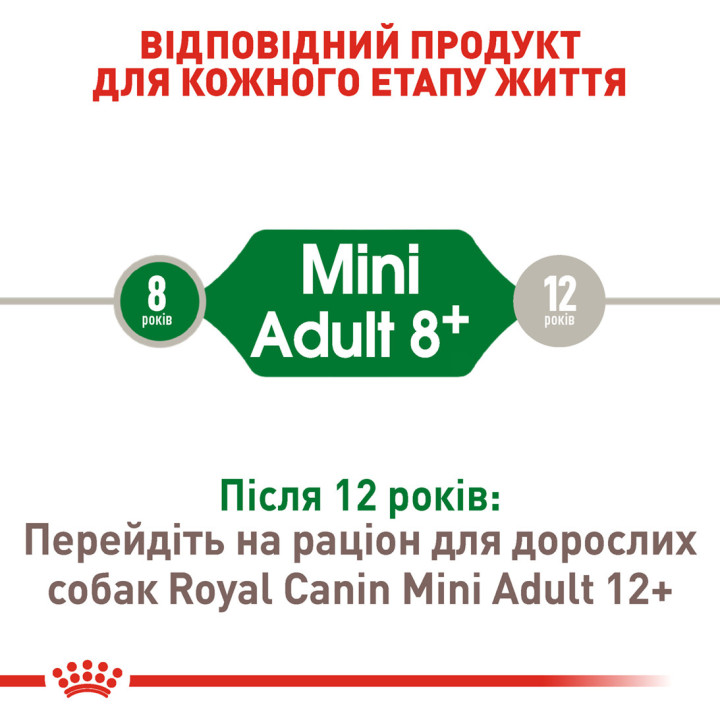 Royal Canin Mini Adult 8+ | Сухий корм для літніх собак 0,8 кг