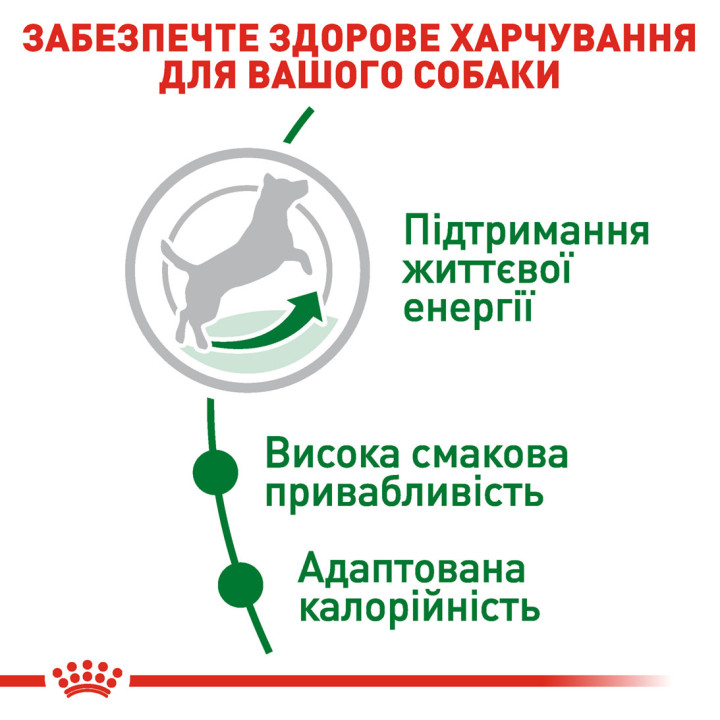 Royal Canin Mini Adult 8+ | Сухий корм для літніх собак 0,8 кг