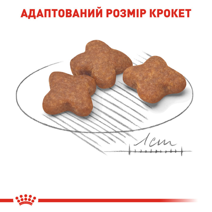 Royal Canin Mini Adult 8+ | Сухий корм для літніх собак 0,8 кг