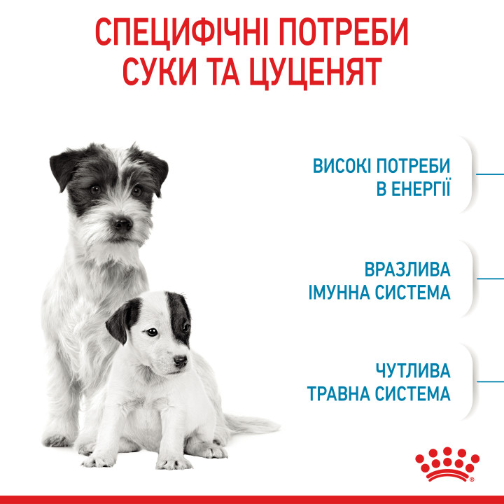 Mini Starter 1 кг