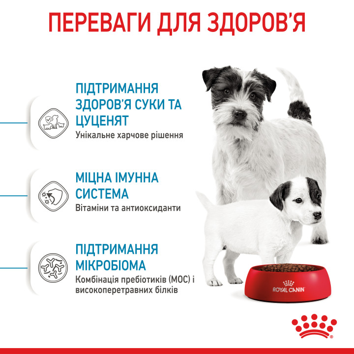 Mini Starter 1 кг
