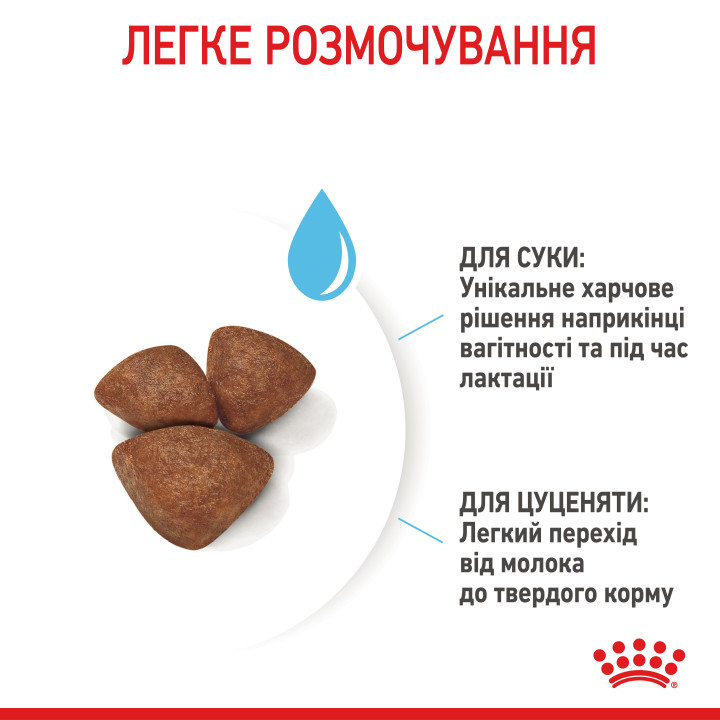 Mini Starter 1 кг