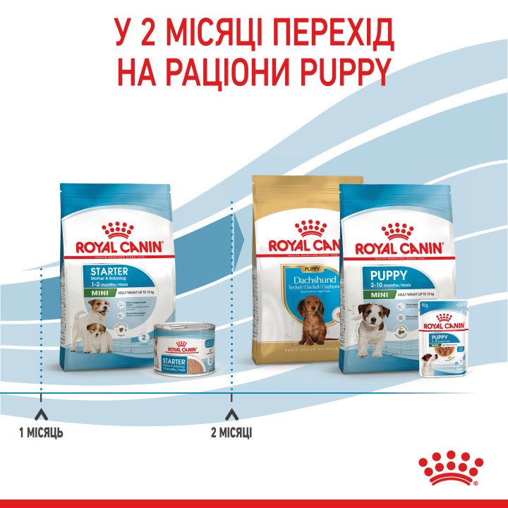 Mini Starter 1 кг