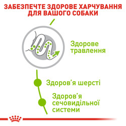 Royal Canin Xsmall Adult 1.5 кг - Сухий Корм Для Собак Дуже Маленьких Розмірів