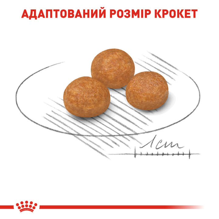 Xsmall Adult Сухий Корм Для Собак Дрібних Порід 3 кг