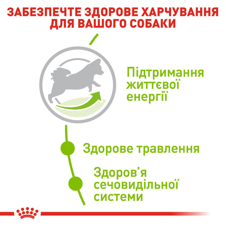 Xsmall Adult 8+ 3 кг
