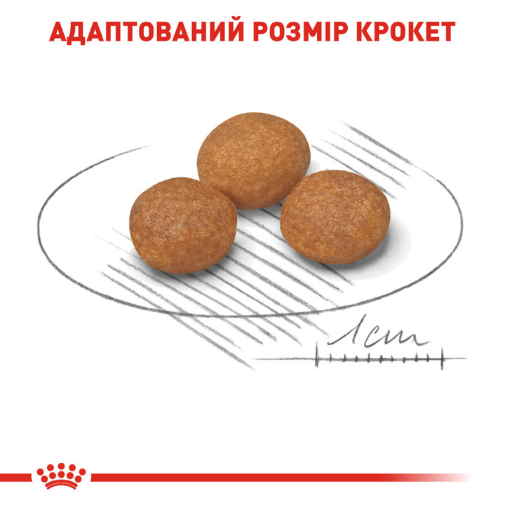 Xsmall Adult 8+ 3 кг