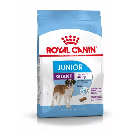 Royal Canin Giant Junior: захист і розвиток для цуценят великих порід