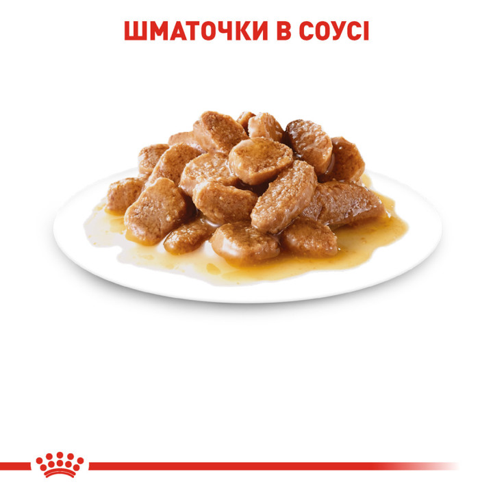 Royal Canin Mini Adult 0.085 кг | Консервований корм для собак малих порід Пауч