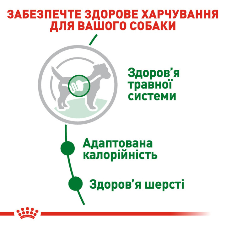Royal Canin Mini Adult 0.085 кг | Консервований корм для собак малих порід Пауч