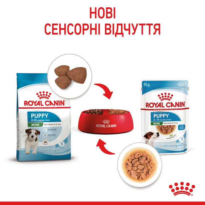 Royal Canin Mini Puppy  0.085 кг| Консервований корм для цуценят малих порід