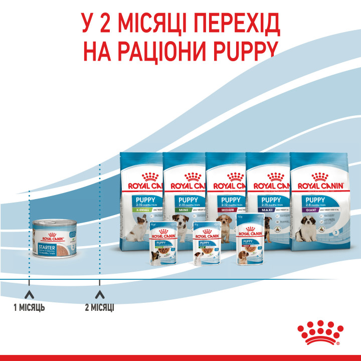 Royal Canin Starter Mousse Mother & Babydog корм