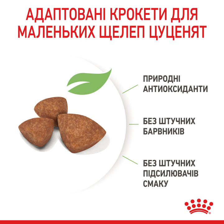 Royal Canin XSMALL PUPPY 0,5 кг, корм для цуценят мініатюрних порід, забезпечує здоров'я та енергію