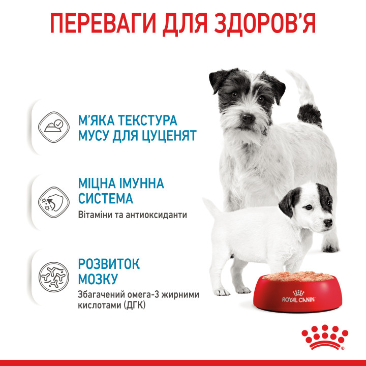 Royal Canin Starter Mousse Mother & Babydog корм