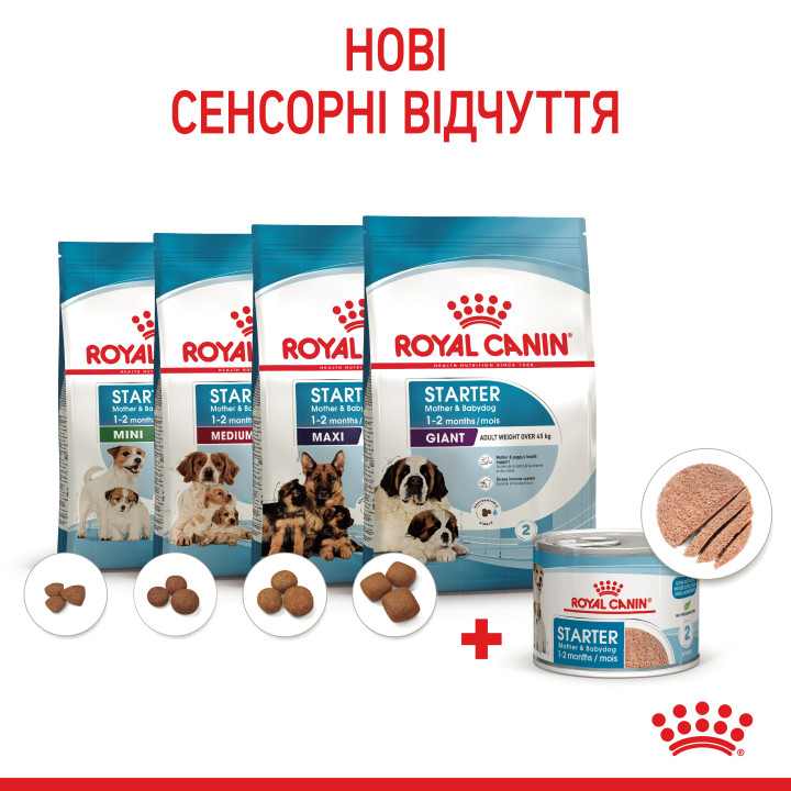 Royal Canin Starter Mousse Mother & Babydog корм