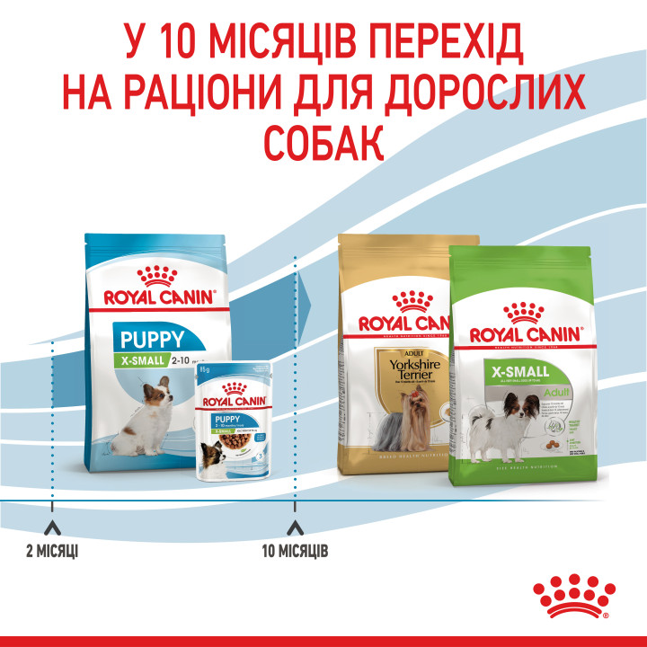 Royal Canin XSMALL PUPPY 0,5 кг, корм для цуценят мініатюрних порід, забезпечує здоров'я та енергію