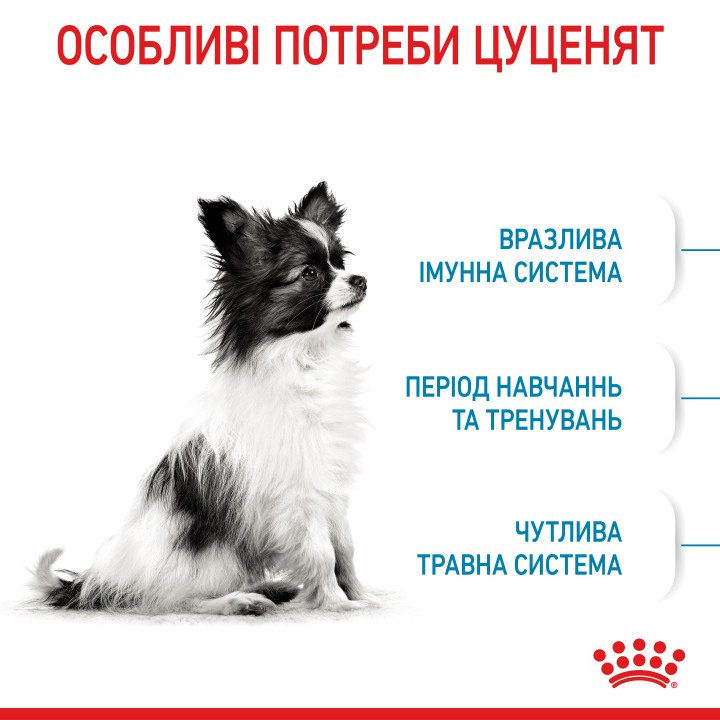 Royal Canin XSMALL PUPPY 1,5 кг, корм для цуценят мініатюрних порід, забезпечує здоров'я та енергію
