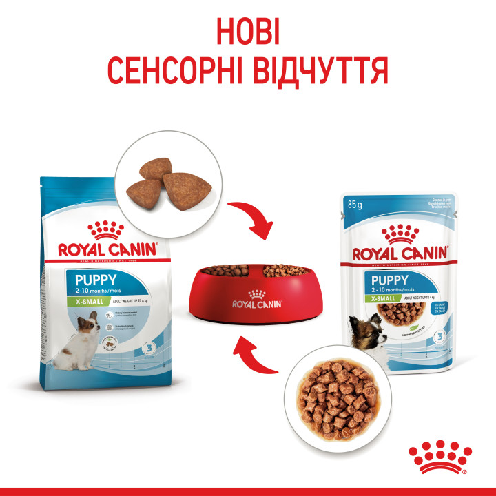 Royal Canin Xsmall Puppy 0.085 | Вологий корм для цуценят малих порід