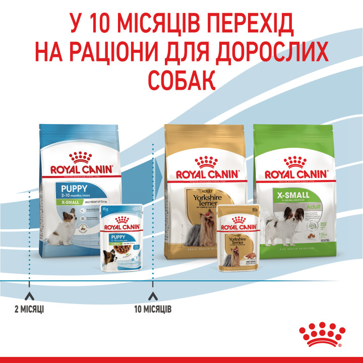 Royal Canin Xsmall Puppy 0.085 | Вологий корм для цуценят малих порід