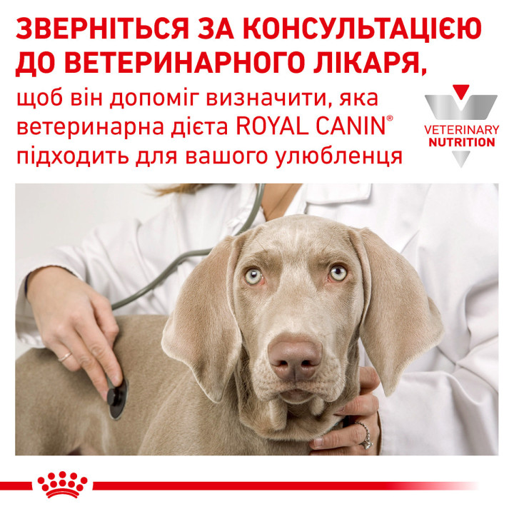 Recovery Вологий Корм Для Собак І Котів У Відновлюваний Період Після Терапії 0,195 кг