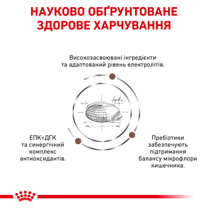 Сухий корм Royal Canin Gastro Intestinal Moderate Calorie Cat для кішок з проблемами травлення