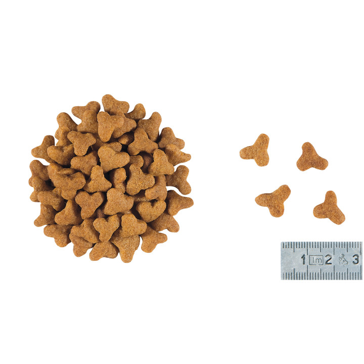 Royal Canin Gastrointestinal Fibre Response: сухий корм для котів 2 кг