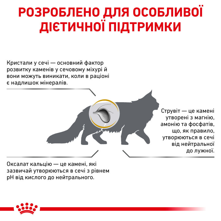 Купуйте Royal Canin Urinary S/O: дієтичний корм для котів - вирішення проблем сечовиділення